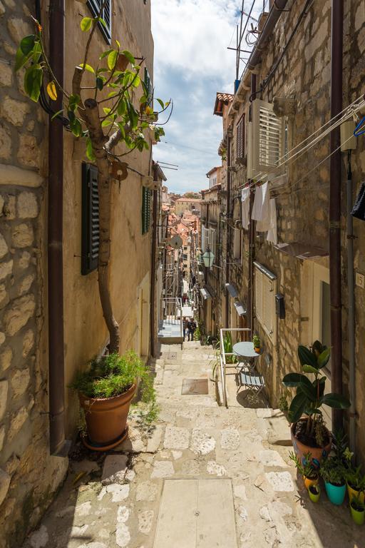 Villa St Vitus Dubrovnik Kültér fotó